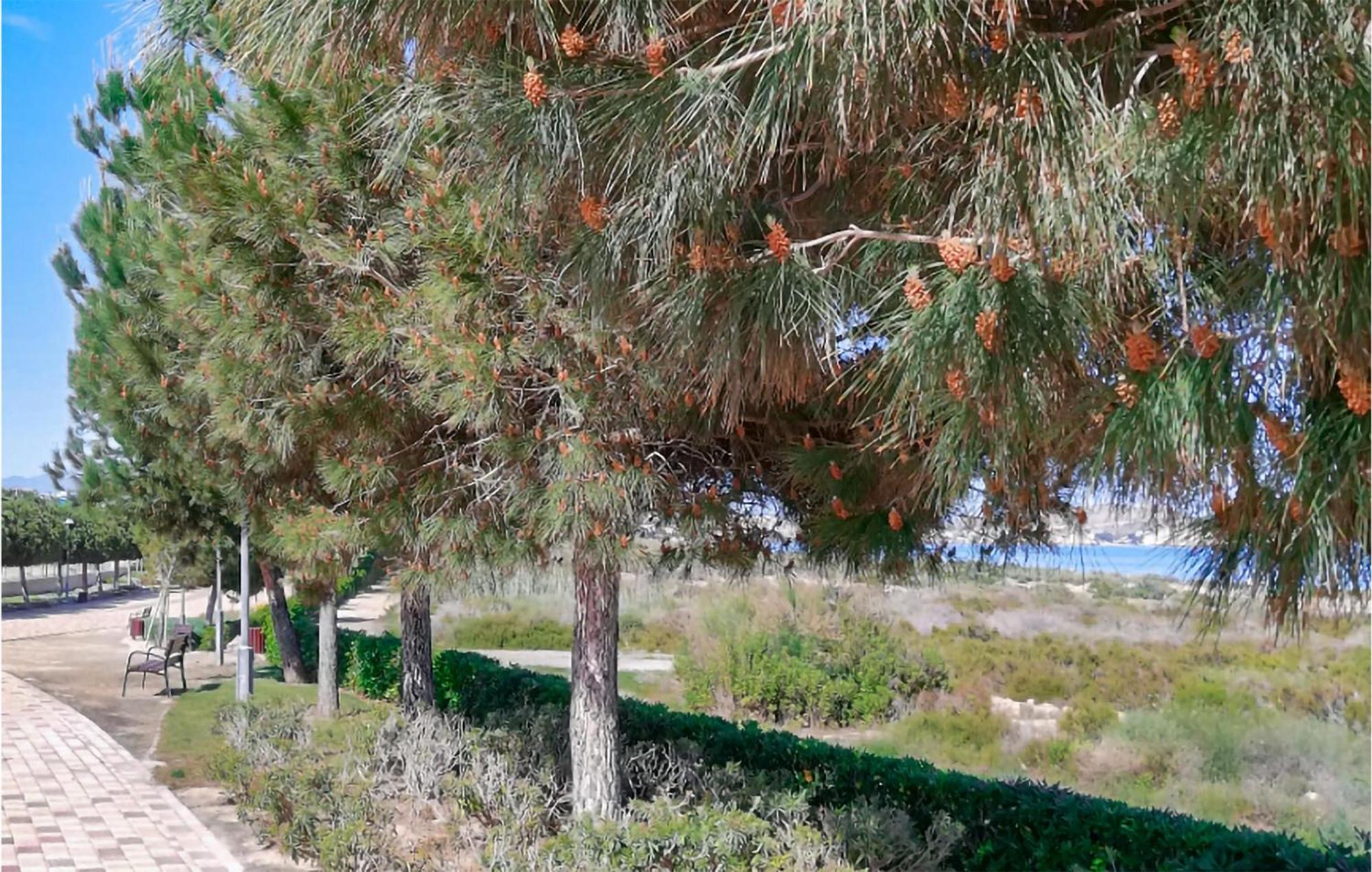 Amazing Apartment In San Juan De Los Terrer San Juan de los Terreros المظهر الخارجي الصورة
